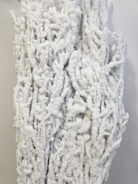 BETULA BS KLB WIT SNEEUW PER TAK